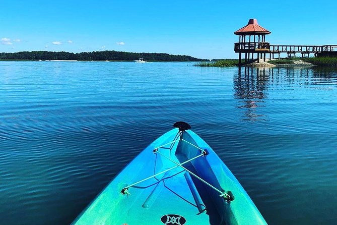 Hilton Head Guided Kayak Tour - Wildlife Encounters