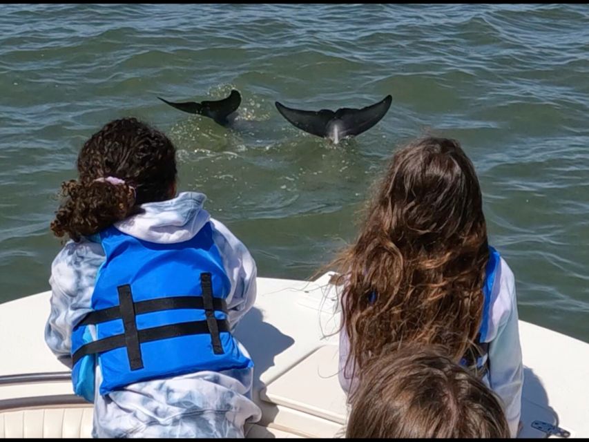Hilton Head Island: Dolphin and Nature Tour - Location and Booking Information