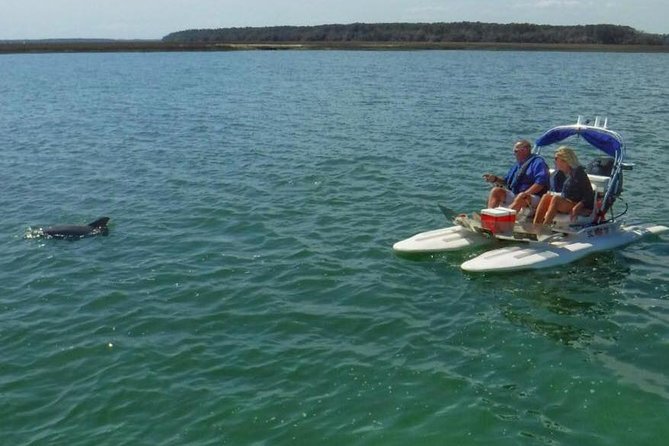 Hilton Head Island Guided Water Tour by Creek Cat Boat - What to Expect