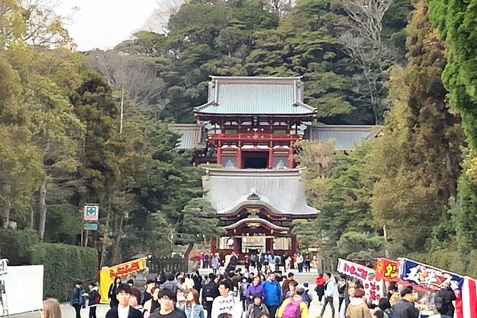 Historic Kamakura: Temples, Shrines and Street Food Private Walking Tour - Support and Contact Information