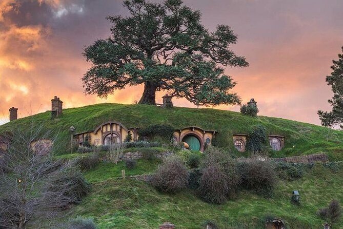 Hobbiton Movie Set and Auckland City Tour a Day Trip - Booking Information