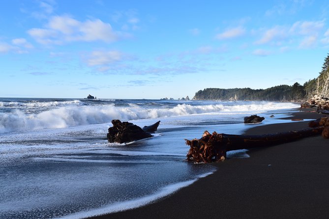 Hoh Rain Forest and Rialto Beach Guided Tour in Olympic National Park - Logistics and Meeting Point