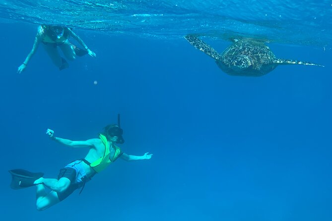 Honolulu Maunalua Bay Snorkel Tour  - Oahu - Weather Contingency