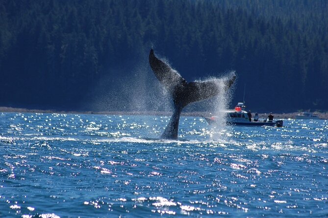 Hoonah Whale-Watching Cruise - Cancellation Terms