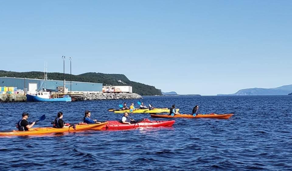Humber Arm South: Bay of Islands Guided Kayaking Tour - Sum Up