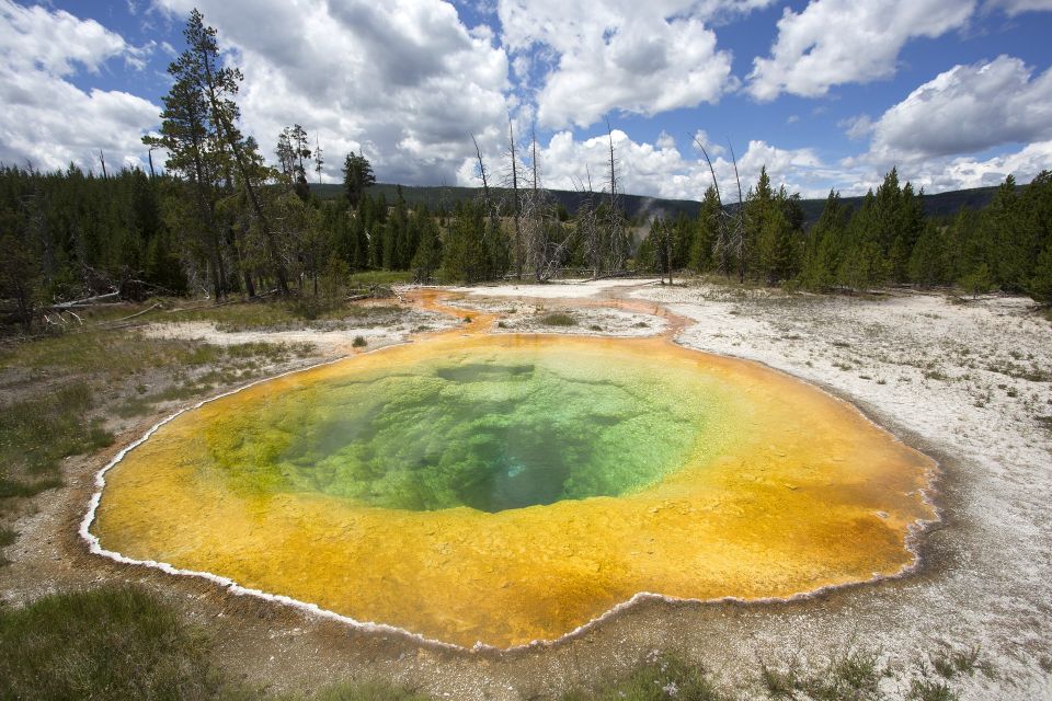 Jackson: 2-Day Yellowstone National Park Tour With Lunches - Insights and Overall Sentiment