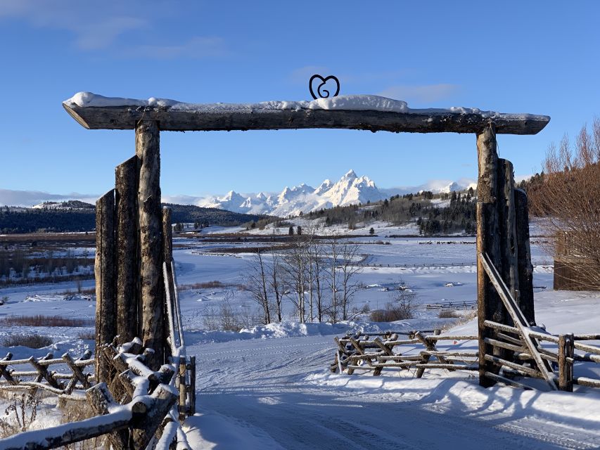 Jackson Hole: Grand Teton Full-Day Snowmobile Tour - Wildlife Encounters