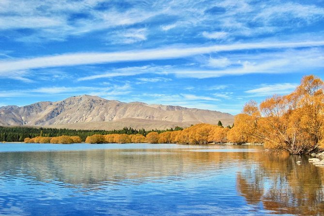 [Japanese Guide] Christchurch-Lake Tekapo Special Pick-up Plan - Operator Information