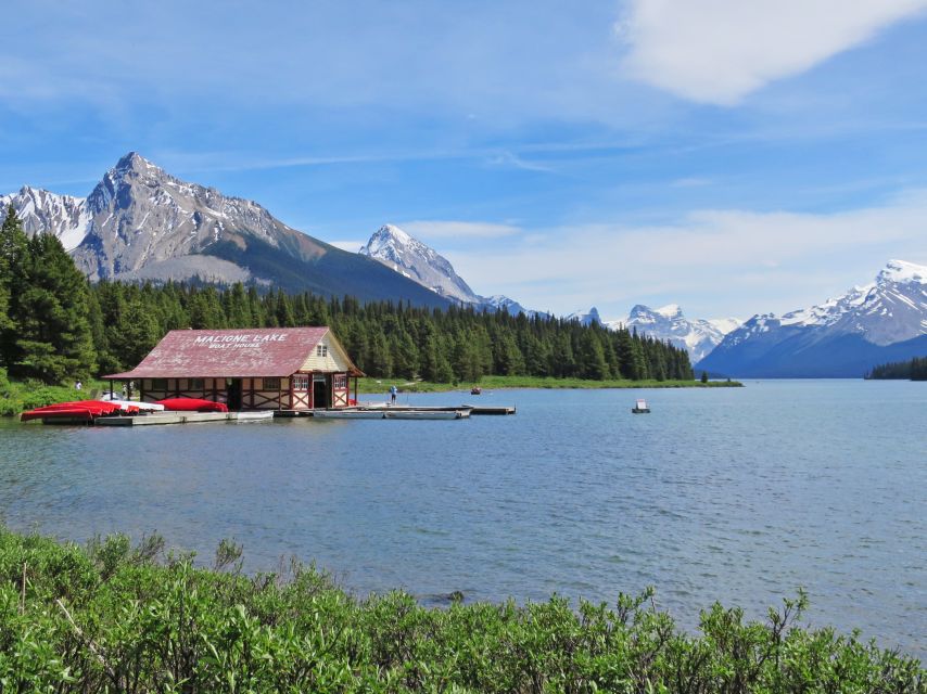 Jasper: Wildlife and Waterfalls Tour With Lakeshore Hike - Scenic Stops: Waterfalls and Limestone Erosion