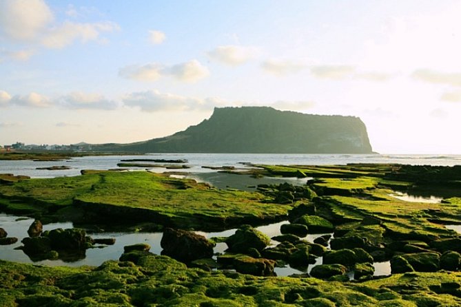 Jeju Customizable Private Tour - Customer Reviews