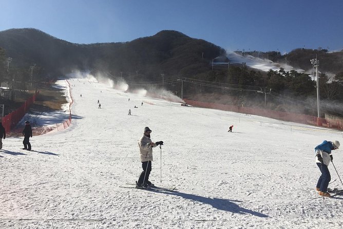 Jisan Forest Ski Resort One Day Tour With Basic Lesson - Reviews and Ratings