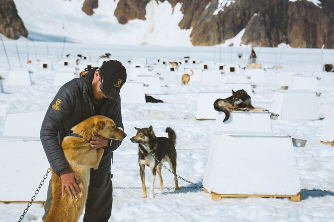 Juneau Shore Excursions: Helicopter Dogsledding Experience and Additional Glacier Landing - Gear and Safety Information