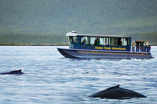 Juneau Whale Watching Adventure - Booking Details