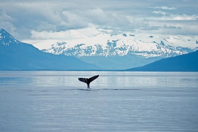 Juneau Wildlife Whale Watching & Mendenhall Glacier - Common questions
