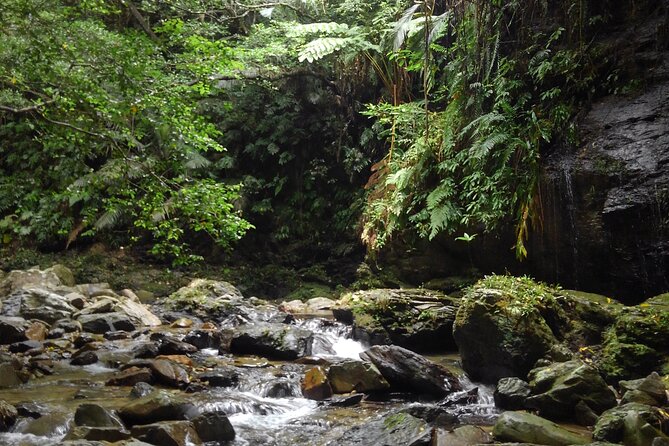 Jungle River Trek: Private Tour in Yanbaru, North Okinawa - Location and Duration of the Tour