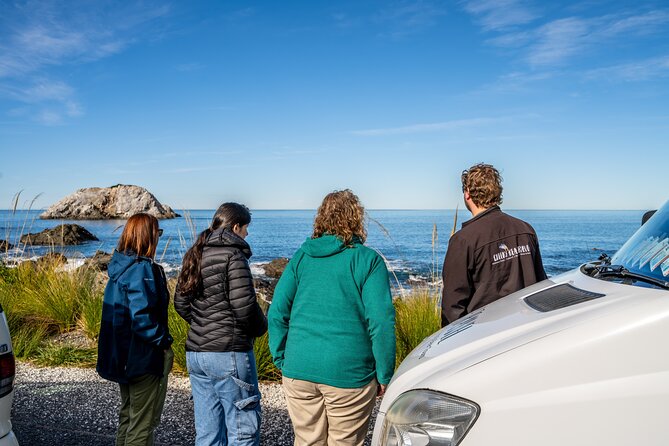 Kaikoura Day Tour With Kayak Experience From Christchurch - Contact and Support