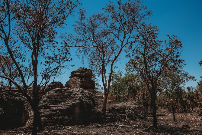 Kakadu Day Tour From Darwin With Offroad Dreaming - Notable Tour Experiences