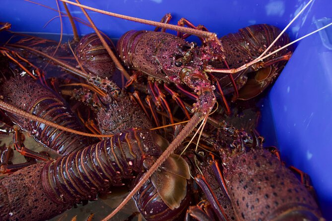 Kalbarri Rock Lobster Pot Pull Tour in Kalbarri - Weather Considerations