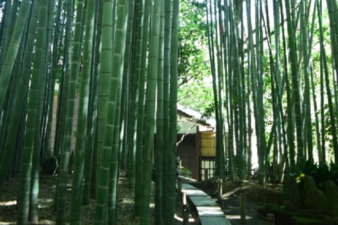 Kamakura Bamboo Forest and Great Buddha Private Tour - Tour Inclusions