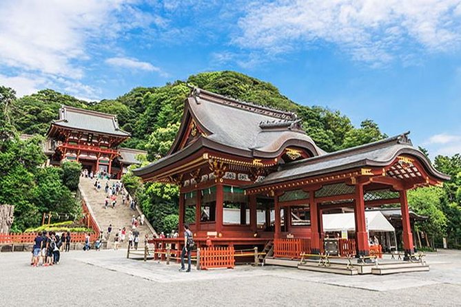 Kamakura Full Day Tour With Licensed Guide and Vehicle - Contact Information and Terms
