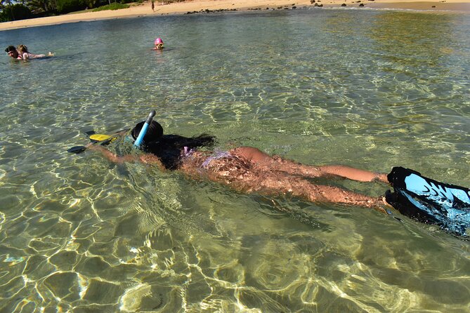 Kauai Snorkeling Adventure - Common questions