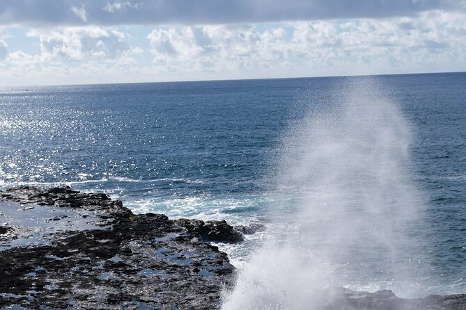 Kauai Waimea Canyon and Forest Tour With Lunch - Customer Reviews and Recommendations