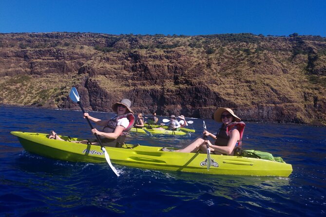 Kayak Snorkel Capt. Cook Monu. See Dolphins in Kealakekua Bay, Big Island (5 Hr) - Customer Feedback