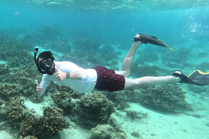 Kayak & Snorkel: Private Tour in Yanbaru, North Okinawa - Pricing and Booking Details