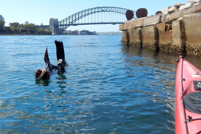 Kayak to Goat Island in Sydney Harbour With Local - Final Thoughts