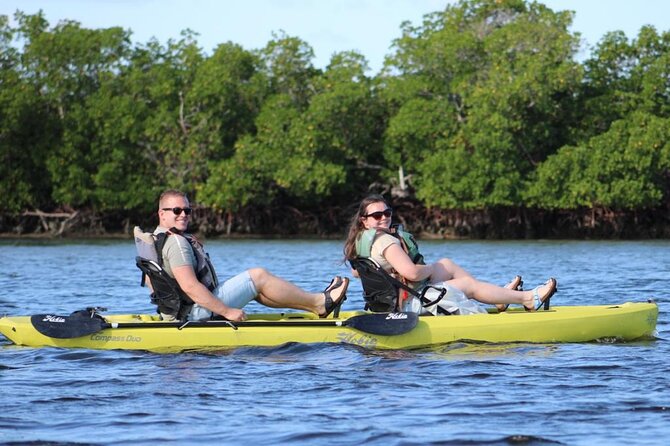 Kayak Tour Adventure Marco Island and Naples Florida - Future Bookings and Loyalty