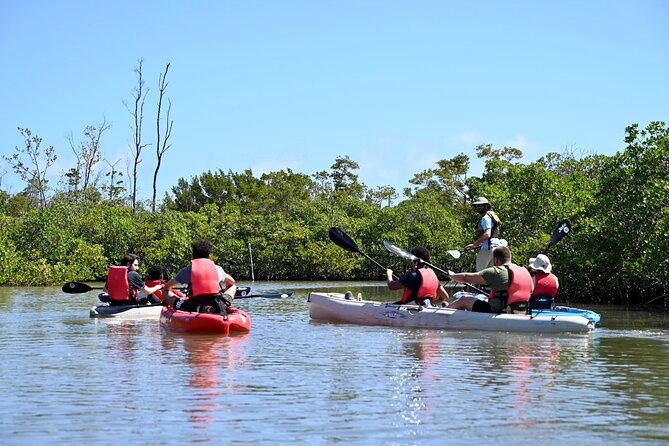 Kayaking Tour of Mangrove Tunnels in South Florida  - Fort Lauderdale - Directions