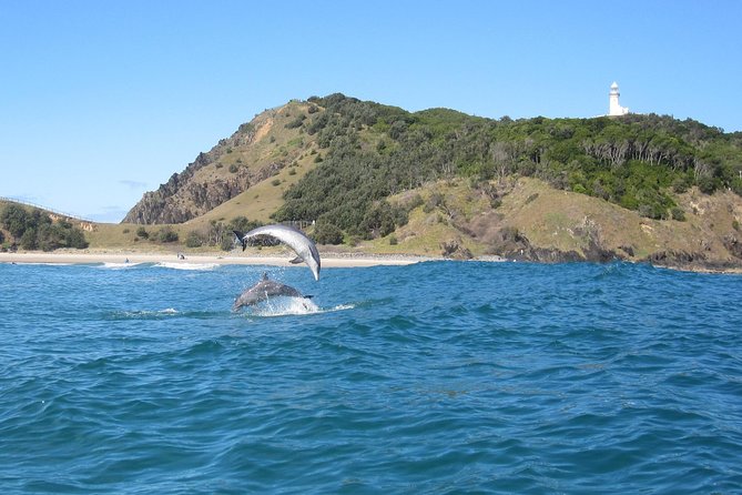 Kayaking With Dolphins in Byron Bay Guided Tour - Wildlife Encounters and Physical Challenges