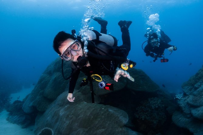 Kenting, TaiwanPADI Basic Diving License CourseTaiwan Diving Open Water Course - Customer Support and Assistance