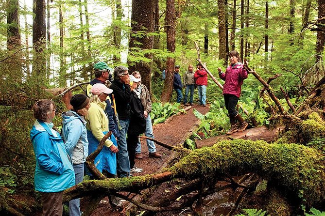 Ketchikan Rainforest Canoe and Nature Walk - Tour Highlights