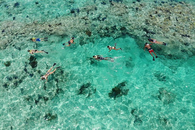 Key West Afternoon Reef Snorkeling With Open Bar - Key West Location