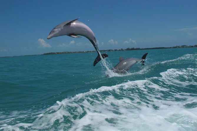Key West Dolphin & Snorkel Experience - Cancellation Policy