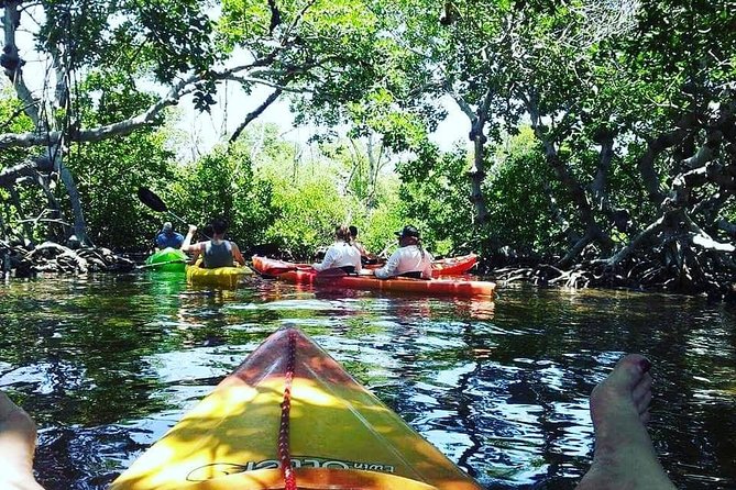 Key West Full-Day Ocean Adventure: Kayak, Snorkel, Sail - Customer Feedback and Support