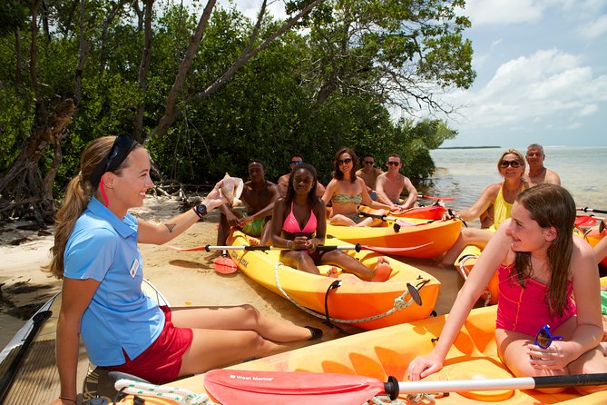 Key West Island Adventure: Kayak, Snorkel, Paddleboard - Common questions