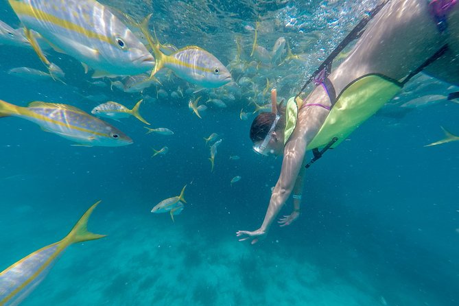 Key West Schooner Backcountry Eco-Tour: Sail, Snorkel & Kayak - Directions