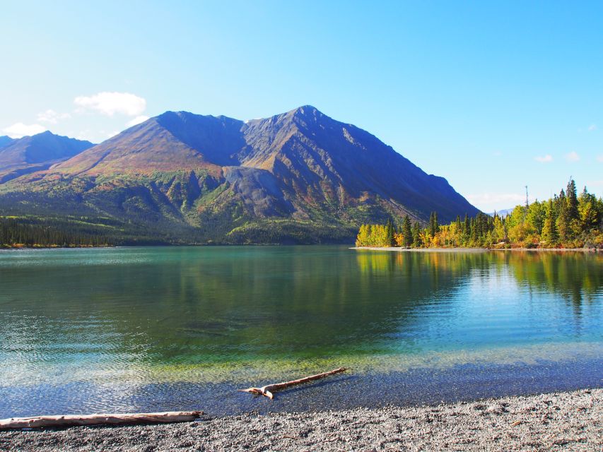 Kluane National Park: Full Day Tour - Common questions