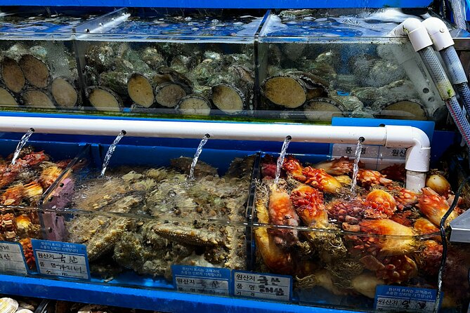 Korean Market Adventure With Chef Yie - Noryangjin Fish Market - Customer Support