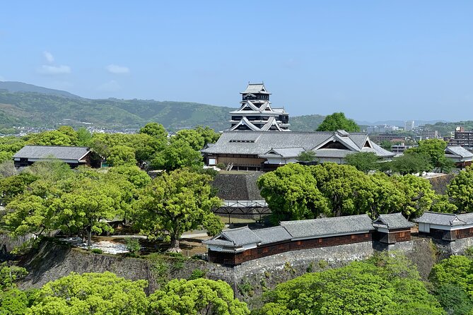 Kumamoto Castle Walking Tour With Local Guide - Pricing and Booking Terms