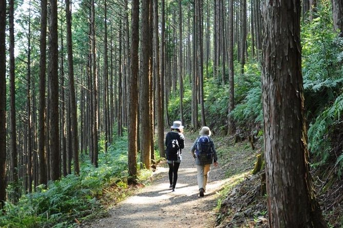 Kumano Kodo Pilgrimage Full-Day Private Trip With Government Licensed Guide - Common questions