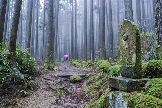 Kumano Kodo Pilgrimage Tour With Licensed Guide & Vehicle - Directions for Kumano Kodo Tour