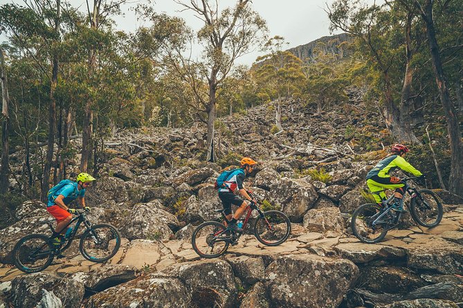 Kunanyi/Mt Wellington Explorer Bus - One Way Tour - Common questions