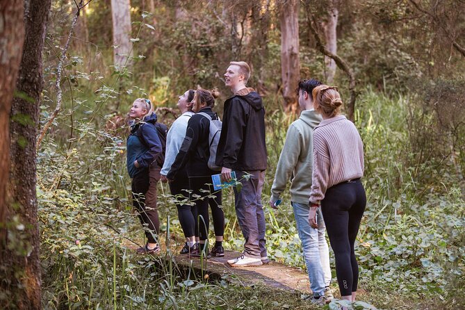 Lake Cruise and Nature Walk in Lake Macquarie - Safety Guidelines and Tips