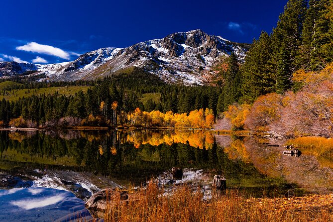 Lake Tahoe Small-Group Photography Scenic Half-Day Tour - Memories and Lasting Impressions