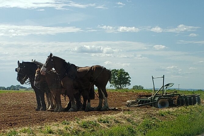 Lancaster County Amish Culture Small-Group Half-Day Tour - Common questions