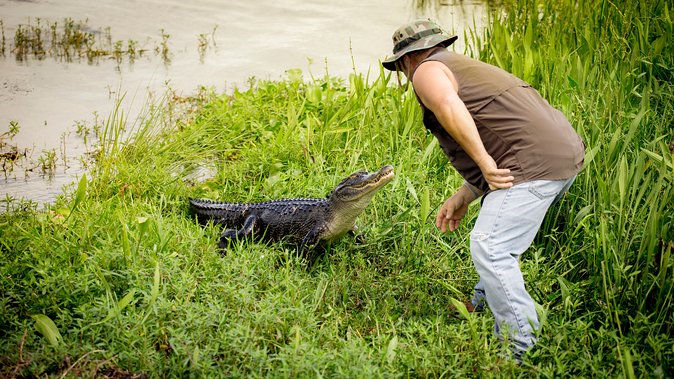 Large Airboat Ride With Transportation From New Orleans - Common questions