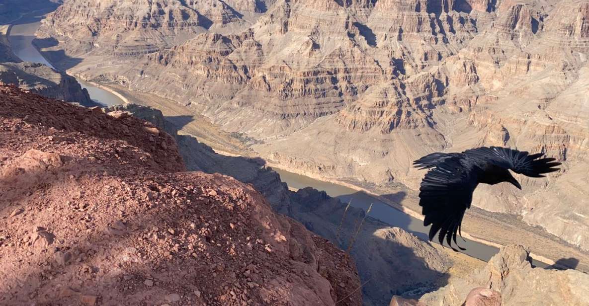 Las Vegas: Grand Canyon West Small-Group Guided Tour - Tour Review